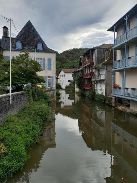 شقة Maison Ichabelenia Salies-de-Béarn المظهر الخارجي الصورة