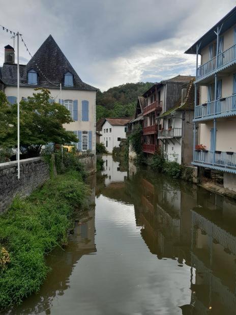 Maison Ichabelenia Salies-de-Béarn المظهر الخارجي الصورة